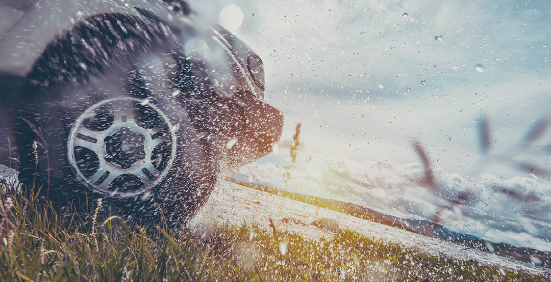 AdSigner opens up a wide variety of new business options. Photo: iStock