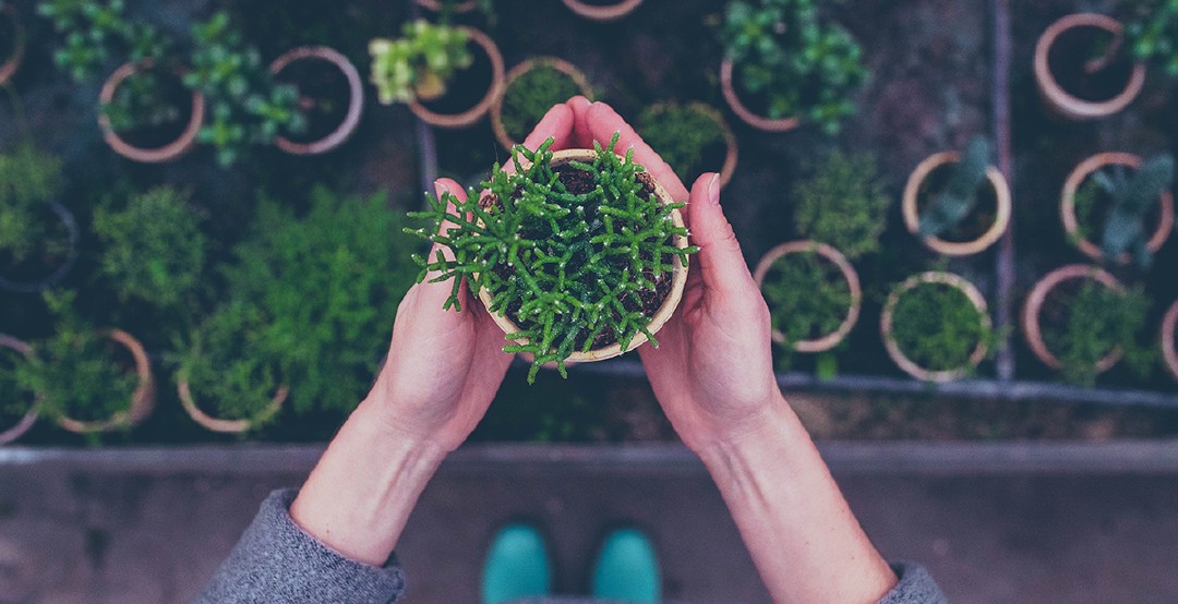 “Here, so your office can be more pleasant and beautiful.” Photo: iStock